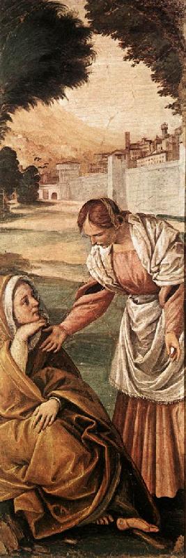 St Anne Consoled by a Woman dfg, FERRARI, Gaudenzio